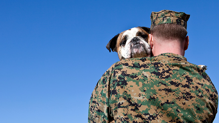 Military man in uniform holds dog